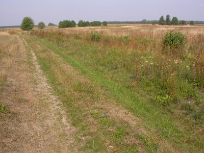 Pokaż więcej zdjęć